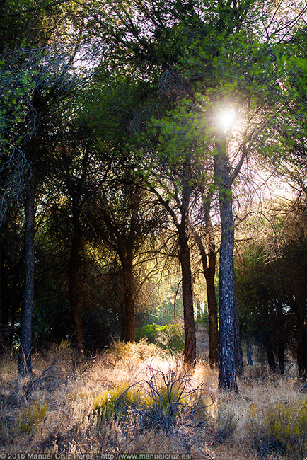 Parque Natural de las Sierras de Andújar, Jaén.